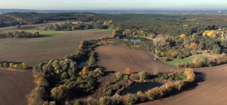 herbstliche Landschaft von oben