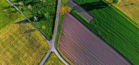 fields viewed from above