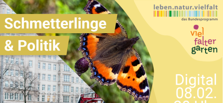 Ankündigung Online Veranstaltung mit Fotos von Tagpfauenauge und Bauernprotest