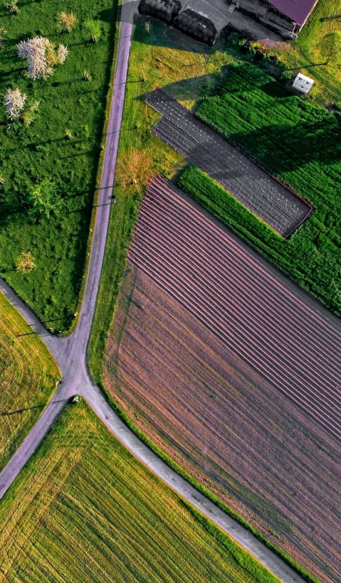 fields viewed from above