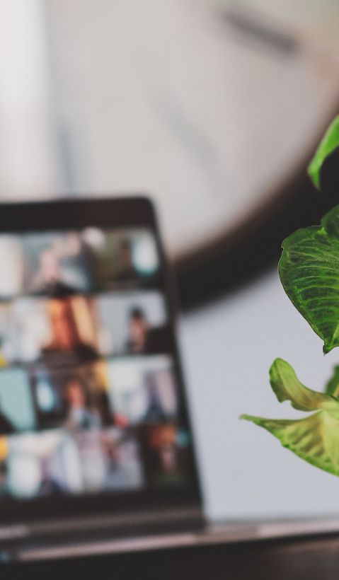 plant and notebook with video conference