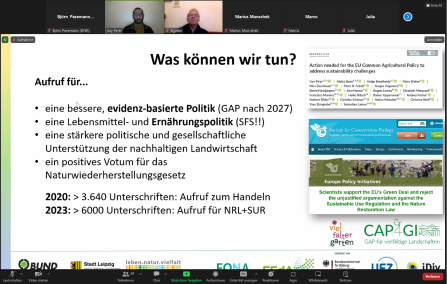 Screenshot Online-Präsentation