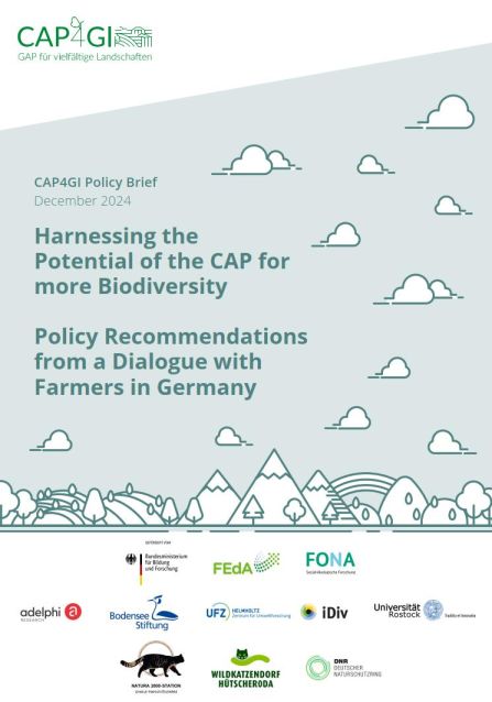 Titlepage of the policy brief with stylised landscape