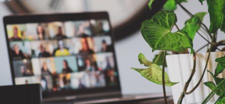 plant and notebook with video conference