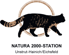Natura 2000-STATION Unstrut Hainich/Eichsfeld Logo