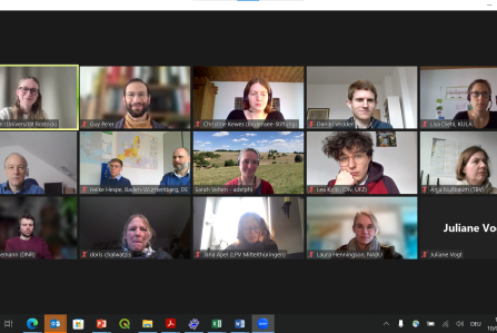 Screenshot advisory board Zoom meeting