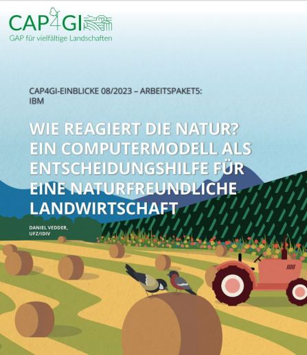 title page CAP4GI-Einsichten AP5